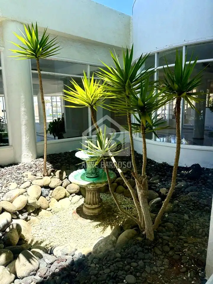 Jardín de Planta baja de alquiler en Adeje