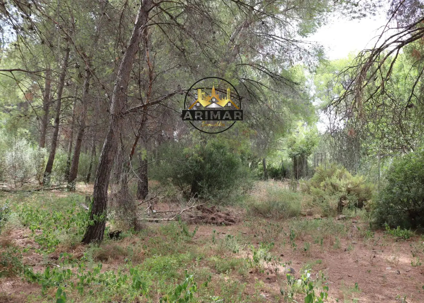Casa o xalet en venda en Benicasim / Benicàssim amb Calefacció, Jardí privat i Terrassa