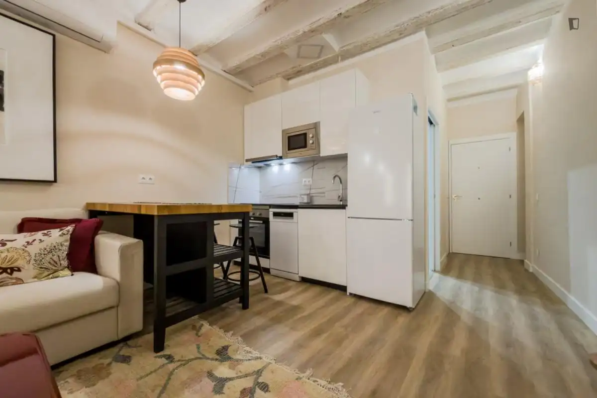 Küche von Wohnung zur Miete in Barcelona mit Klimaanlage, Möbliert und Ofen