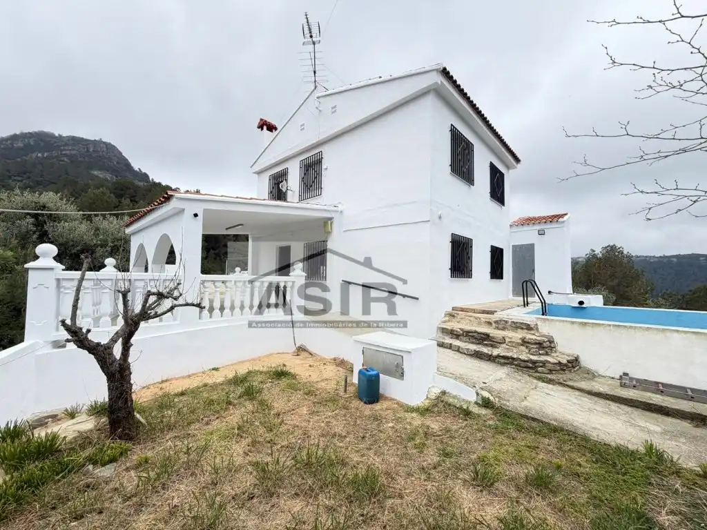 Exterior view of Houses for sale in Alzira
