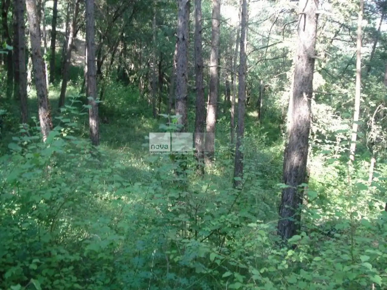 Residential land for sale in Muntanyola, imagen 2
