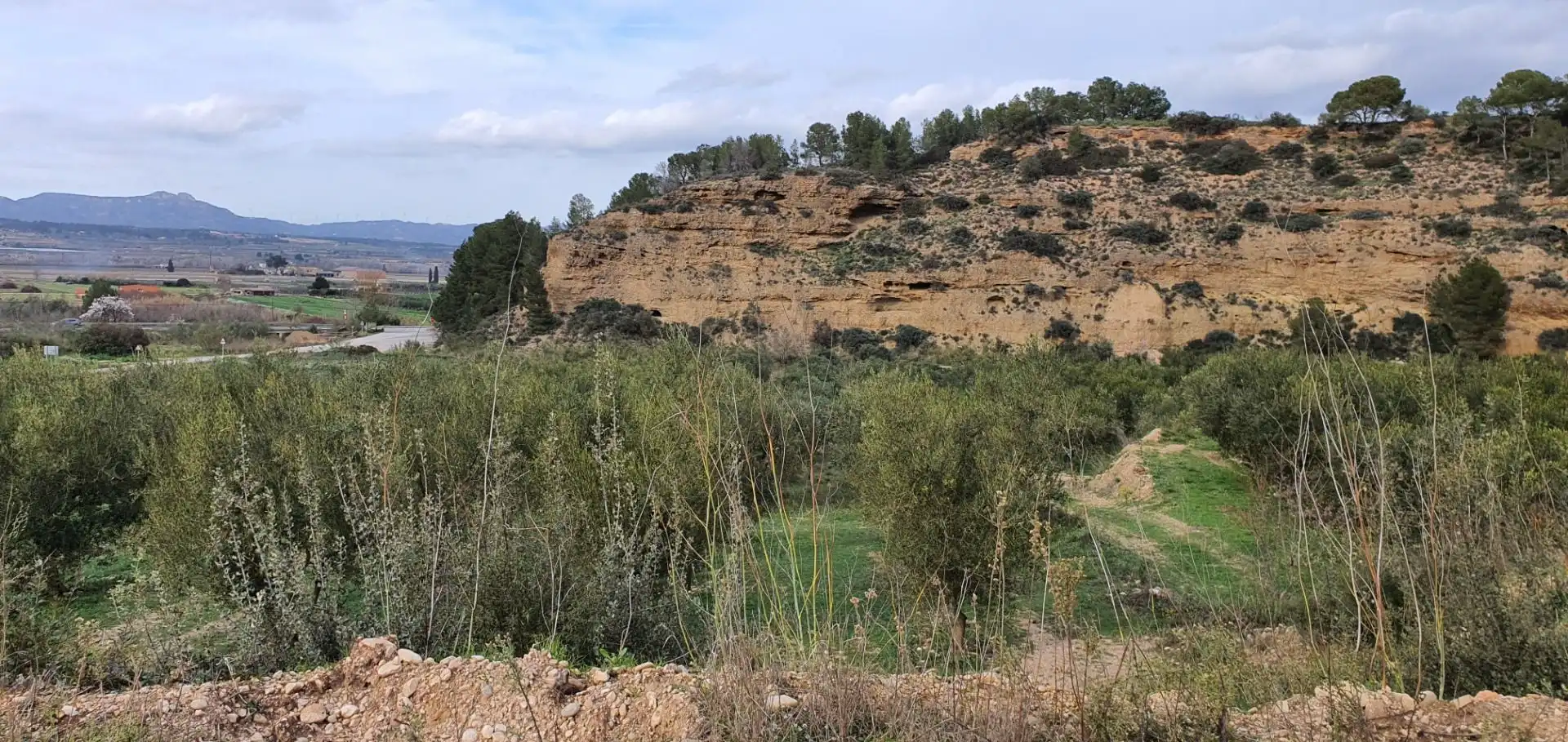 Rural land for sale in Ginestar, imagen 6