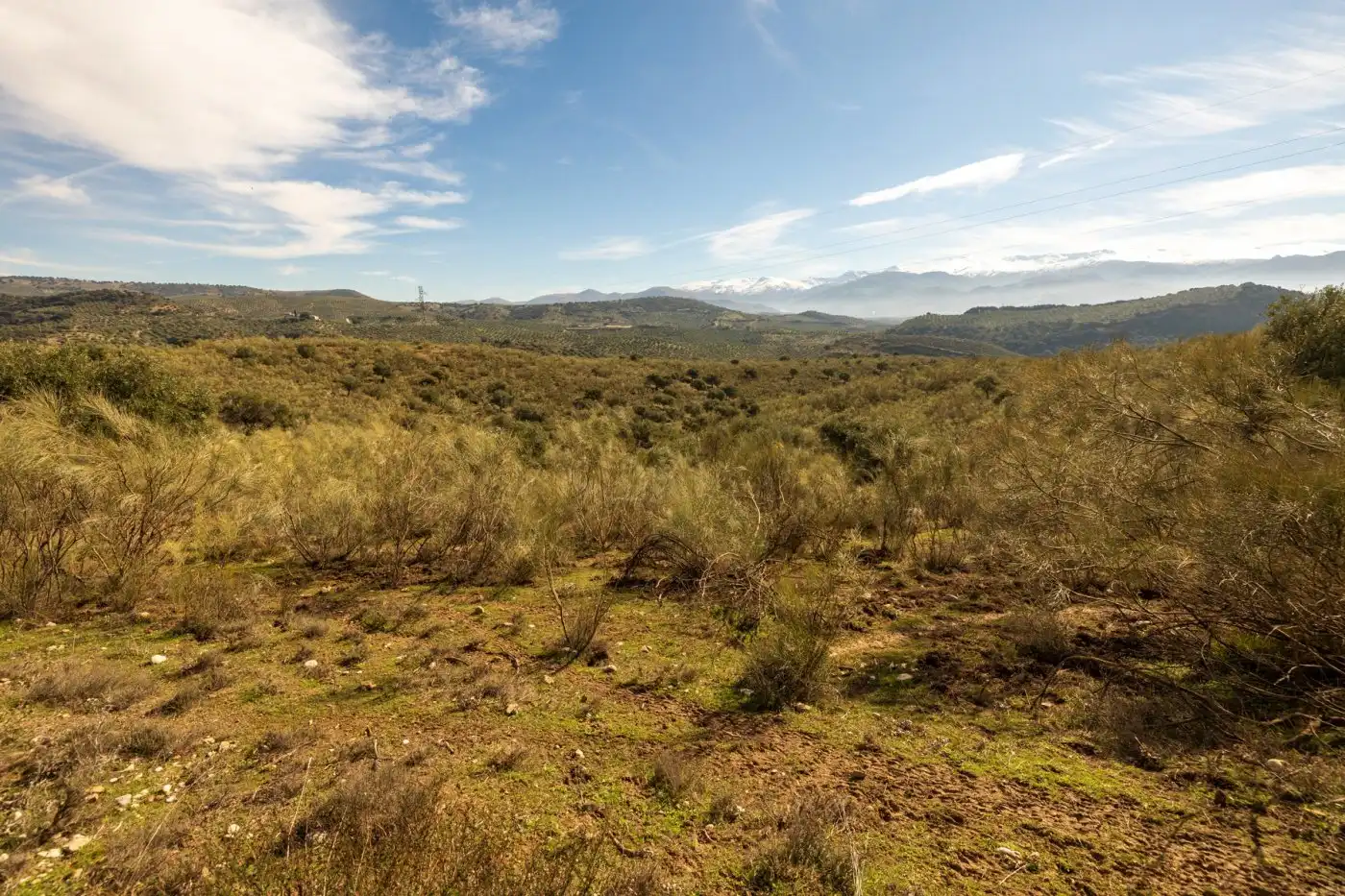 Country house for sale in Albaicín, imagen 34