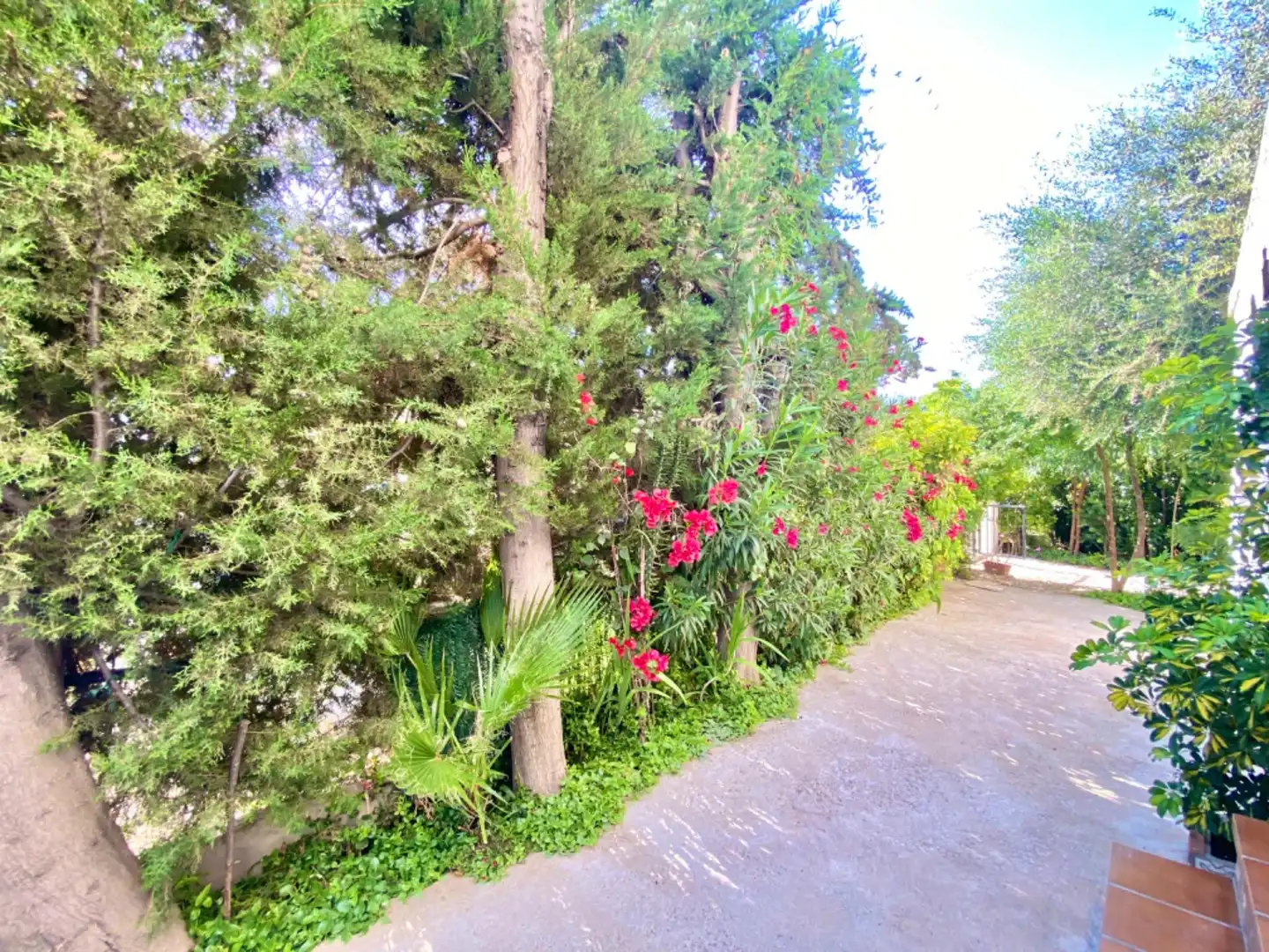 Garten von Country house zum Verkauf in Orihuela mit Heizung, Privatgarten und Abstellraum
