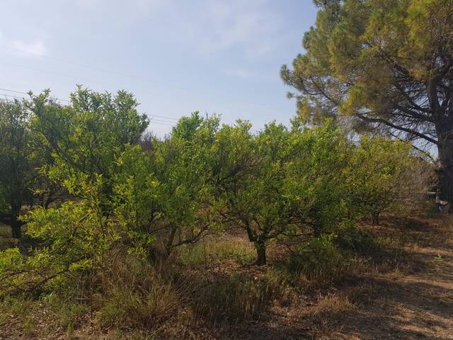 Terreno en Venta en La Galera