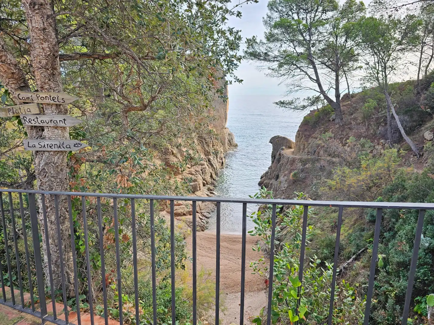 Residential land for sale in Urbanizacion de Rosamar, imagen 6