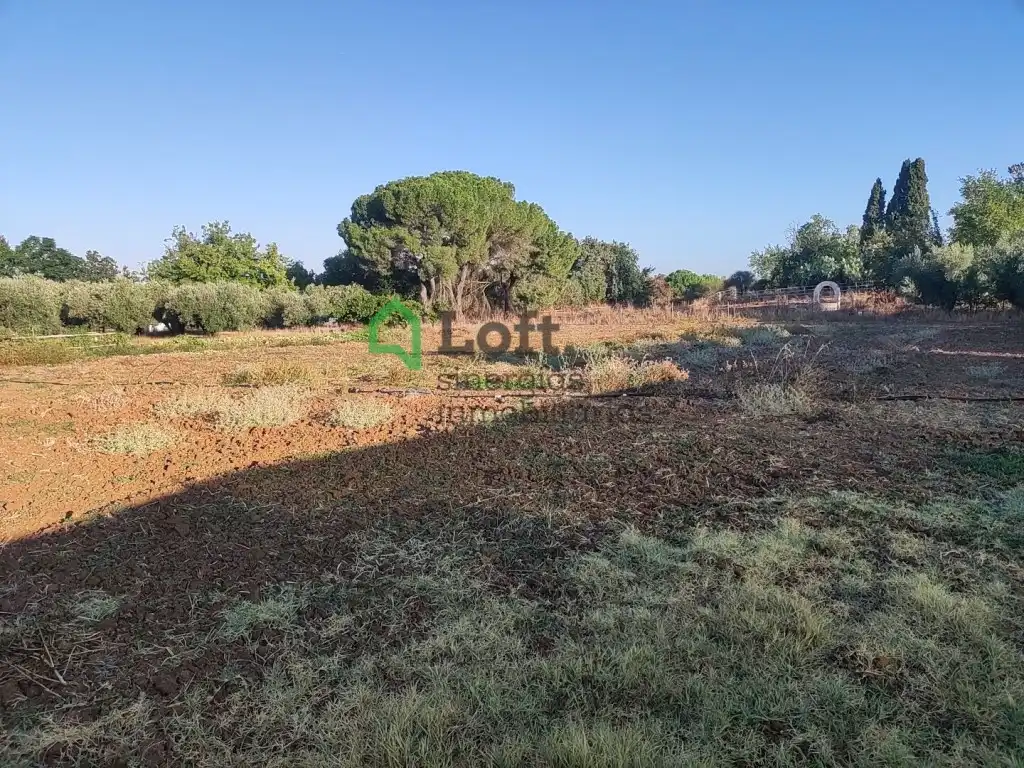 Terreno rustico in vendita a Pedanías de Badajoz, imagen 4