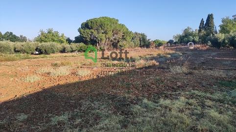Photo 4 of Land for sale in Pedanías de Badajoz, Badajoz Capital