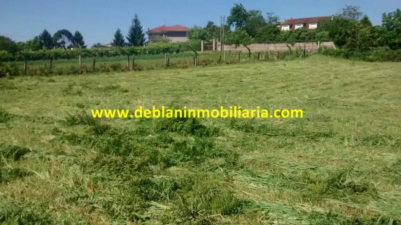 Terreno rústico en venta en Tui, imagen 12
