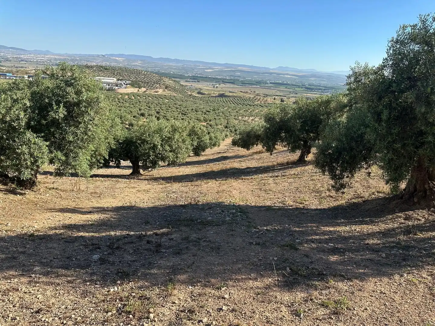 Terreni e lotti in vendita a Atarfe, imagen 13