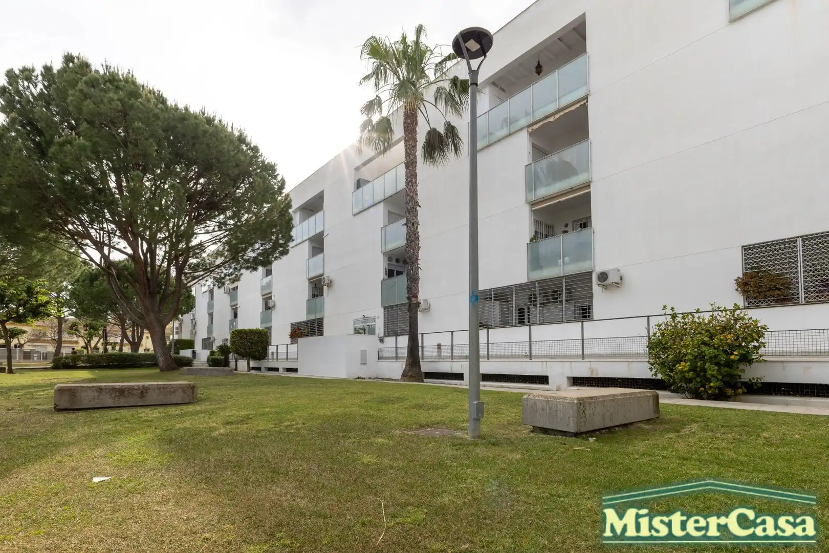 Exterior view of Attic for sale in Jerez de la Frontera  with Private garden and Terrace