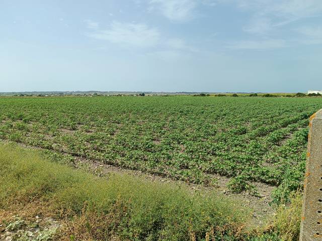 Terreno en Venta en El Juncal - Vallealto