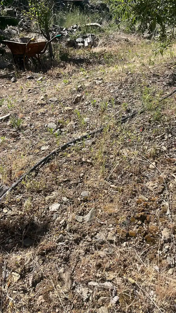 Terreni e lotti in vendita a Nigüelas, imagen 34