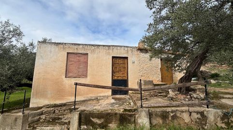 FINCA DE OLIVOS CON CASITA