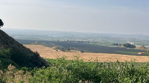 FINCA DE RECREO CON CAPACIDAD DE EDIFCIACIÓN, immagine 4