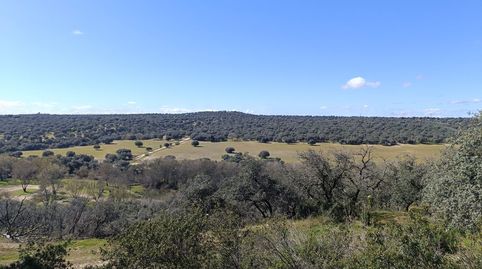 Foto 4 de Terreno en venta en Villafranca del Castillo, Villanueva de la Cañada