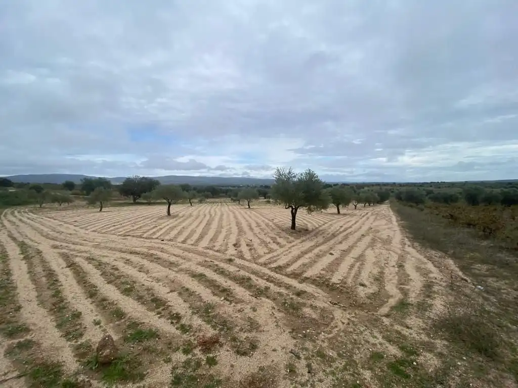 Finca rústica en venda en Villa del Prado