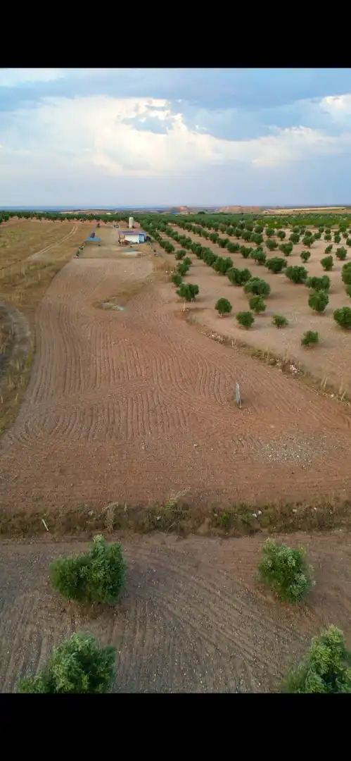 Grundstücke zum Verkauf in Almonacid de Toledo