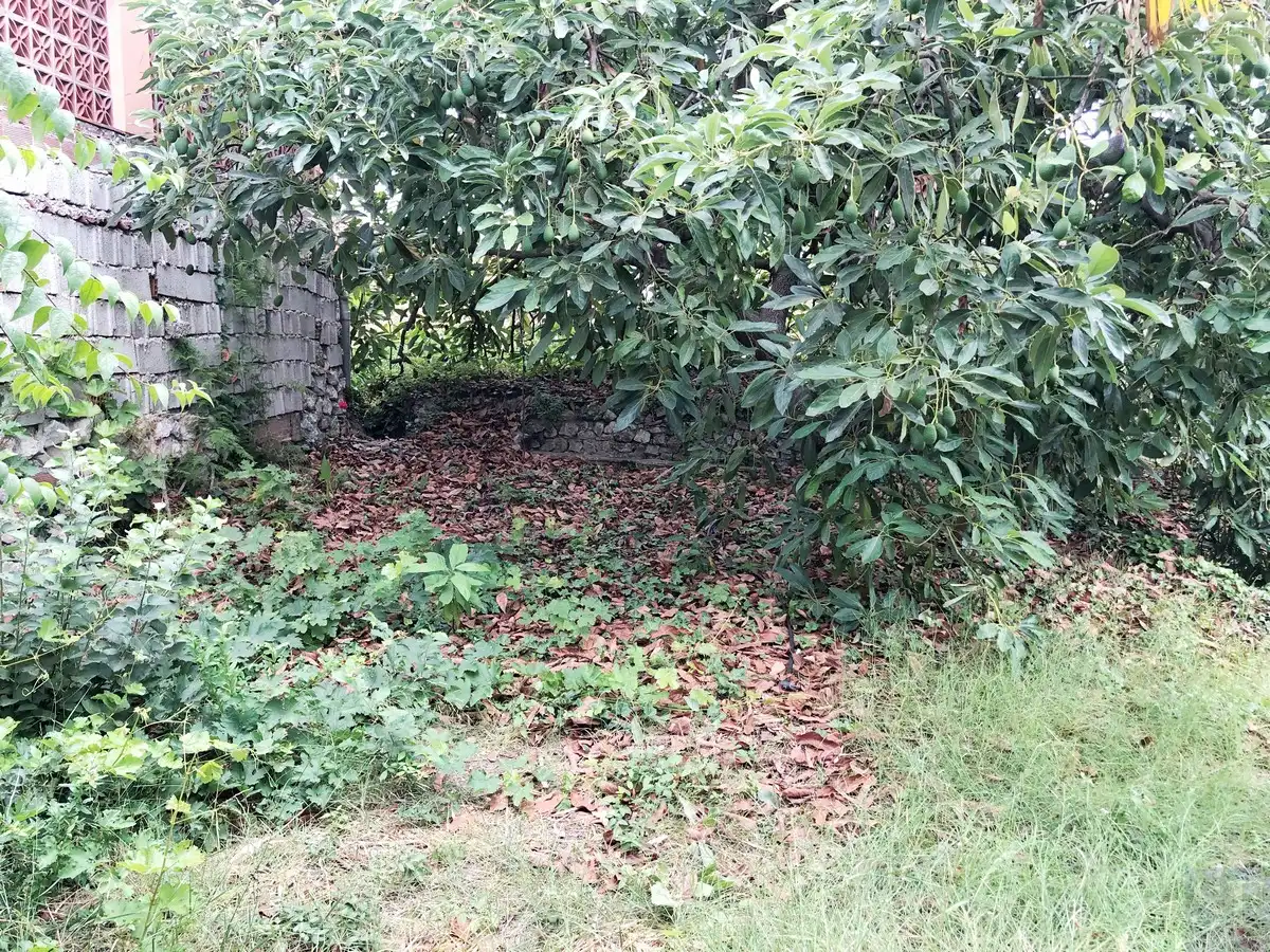 Adossat en venda a Cómpeta, imagen 19