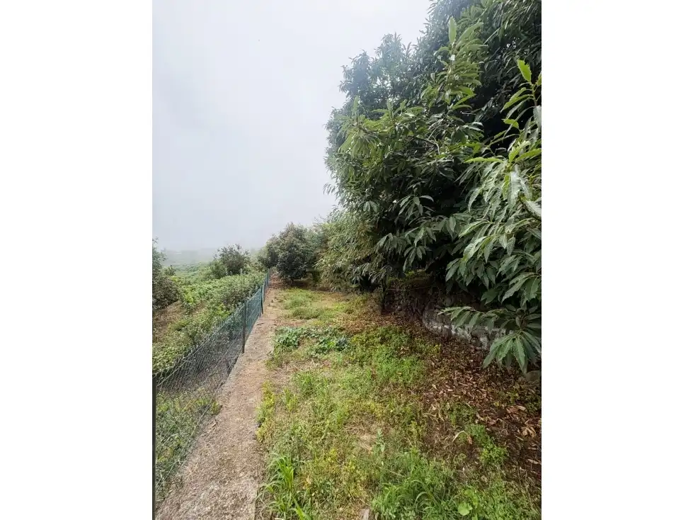 Finca rústica en venda en Los Realejos