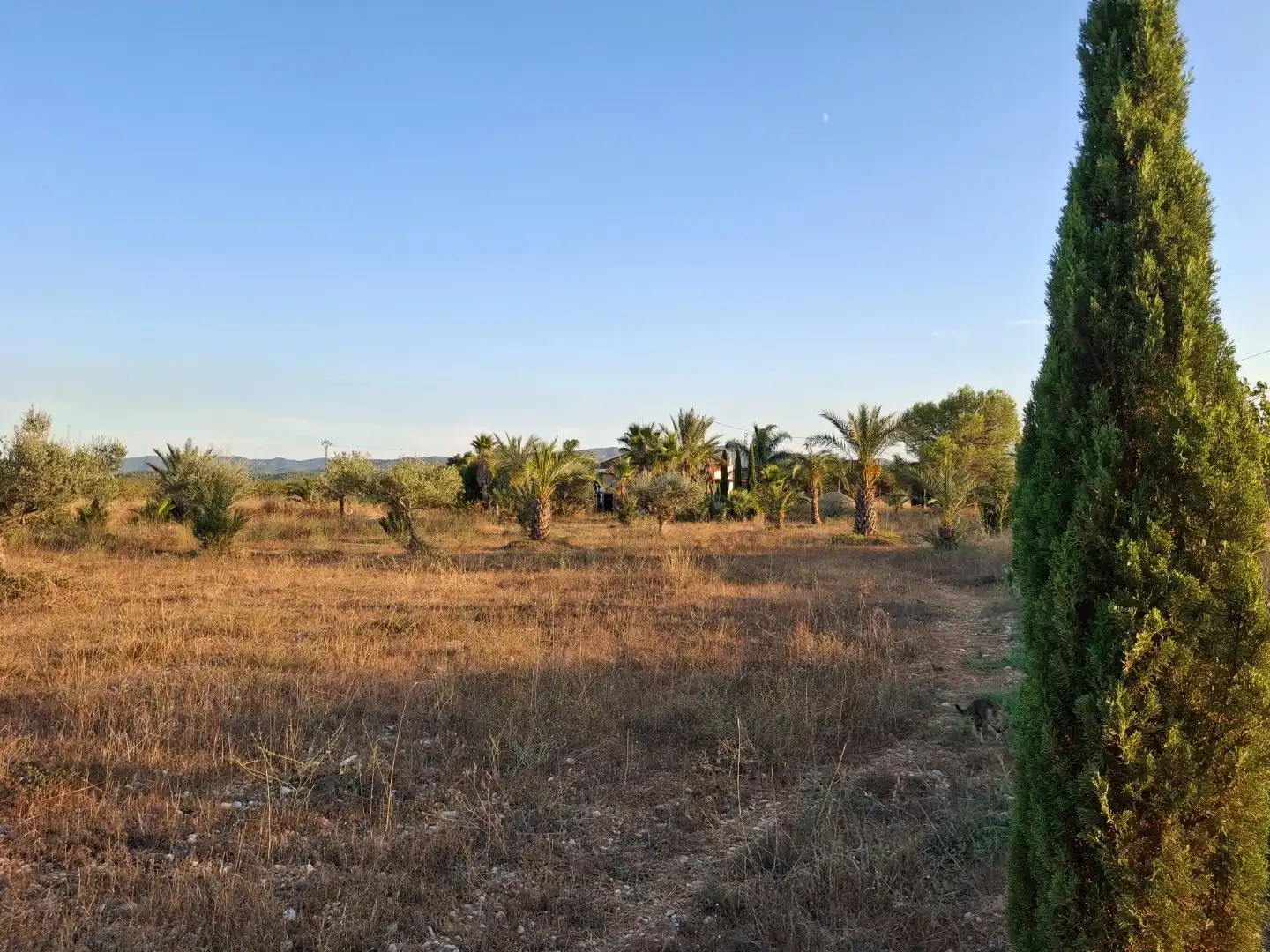Flat for sale in Useras /  Les Useres  with Air Conditioner, Private garden and Storage room