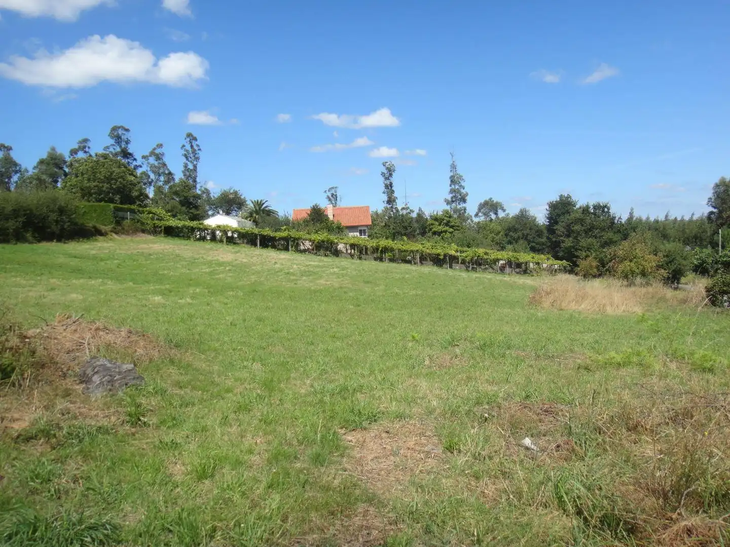 Lands and plots for sale in Brión, imagen 3