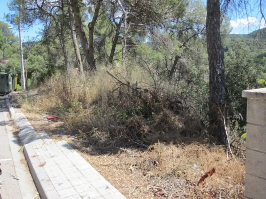 Terreno residencial en venta en Estacio De Torreblanca, imagen 6