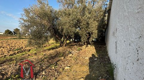 Foto 3 de Finca rústica en venda a Bobadilla - Bobadilla Estación - La Joya, Antequera