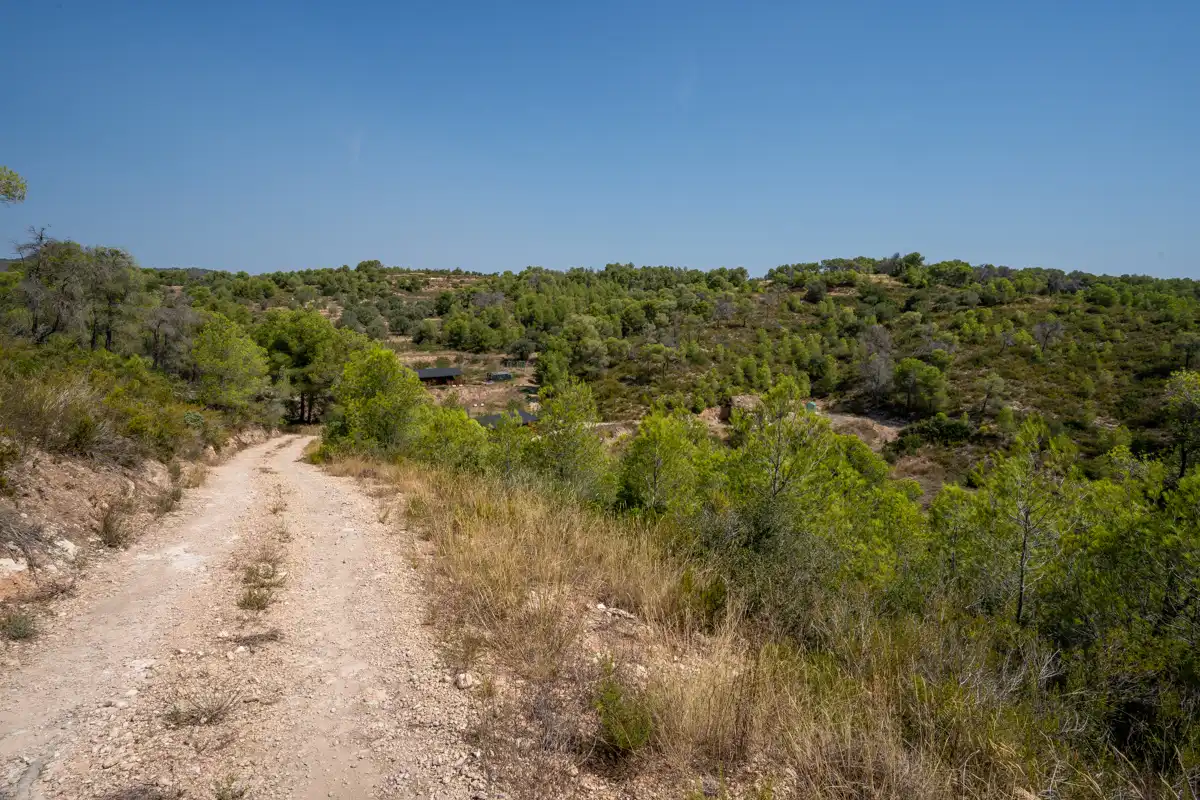 Terreny rústic en venda a Carrer de la Creu 35, imagen 56