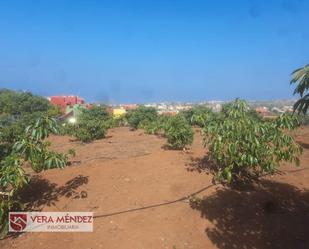 Finca rústica en venda en Tacoronte