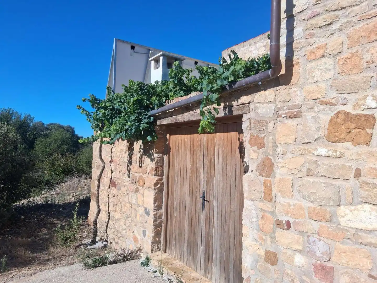 Vista exterior de Casa o chalet en venta en Ares del Maestrat con Terraza y Amueblado