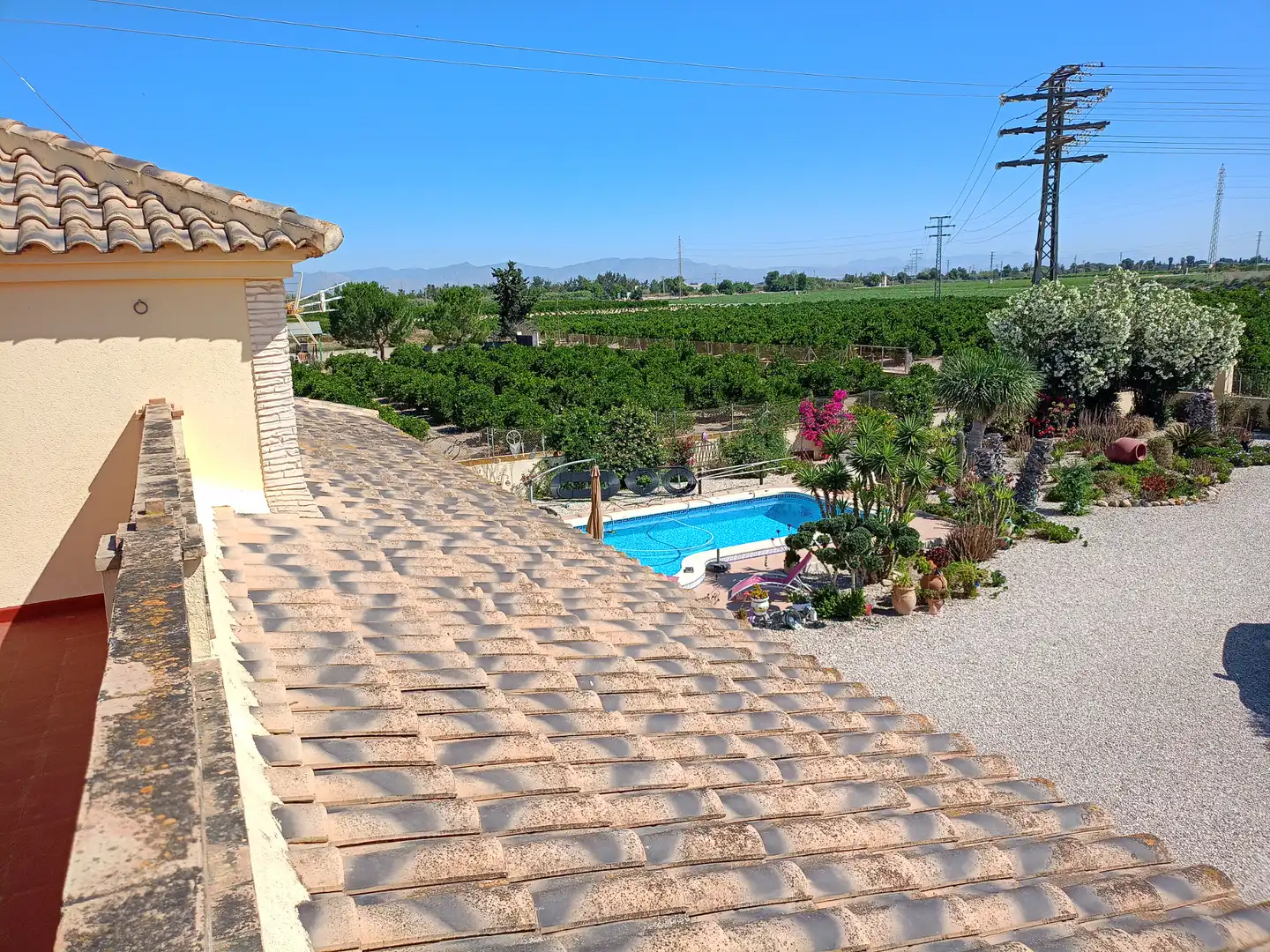 Vista exterior de Casa o chalet en venta en Jacarilla con Jardín privado, Terraza y Piscina