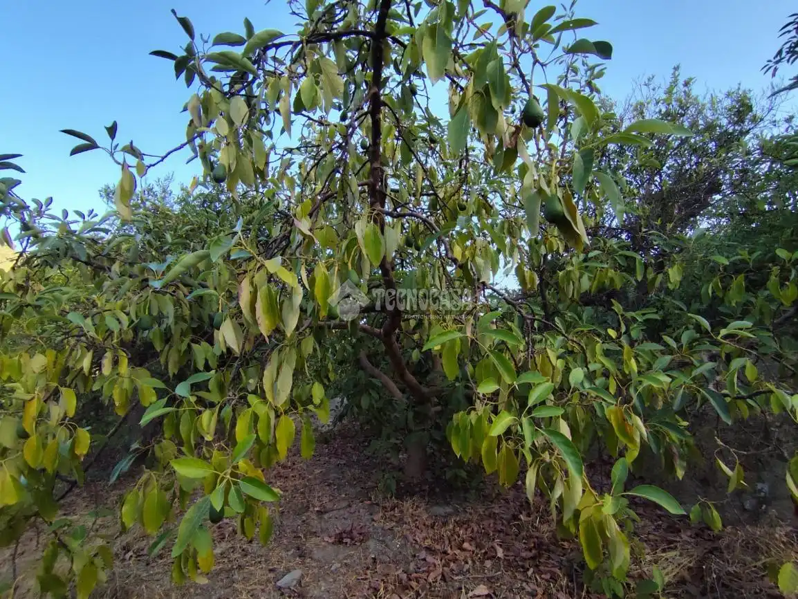 Terreno rustico in vendita a Los Guájares, imagen 4