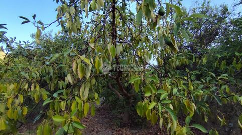 Terrenos en venta en Los guajares, imagen 4