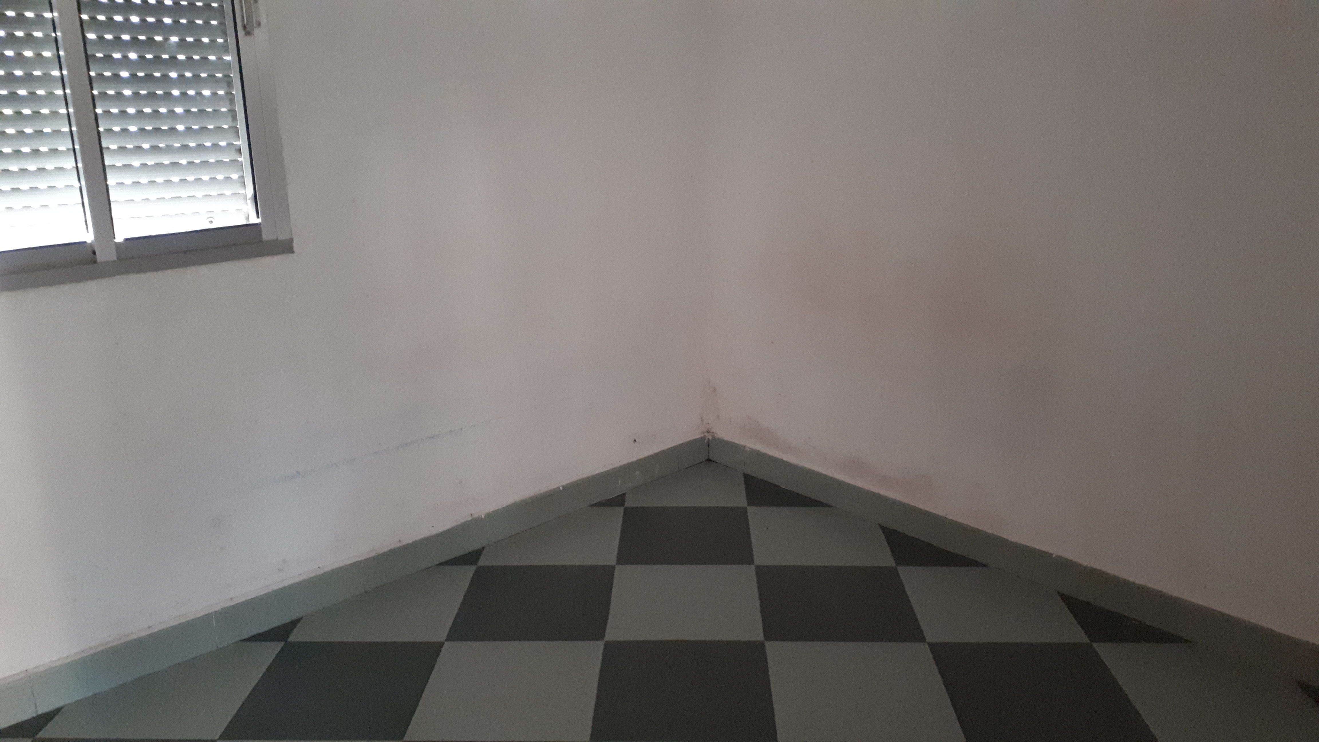 Pis en venda a PEGASO, Los Pájaros