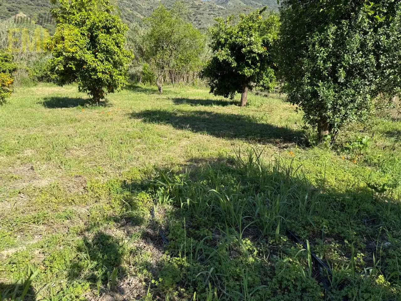 Casa o xalet en venda en Jimera de Líbar amb Jardí privat i Terrassa