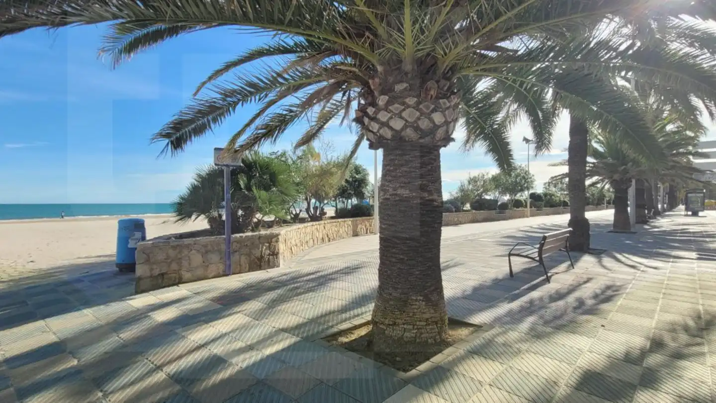 Local comercial de lloguer a Illa Menorca, imagen 16