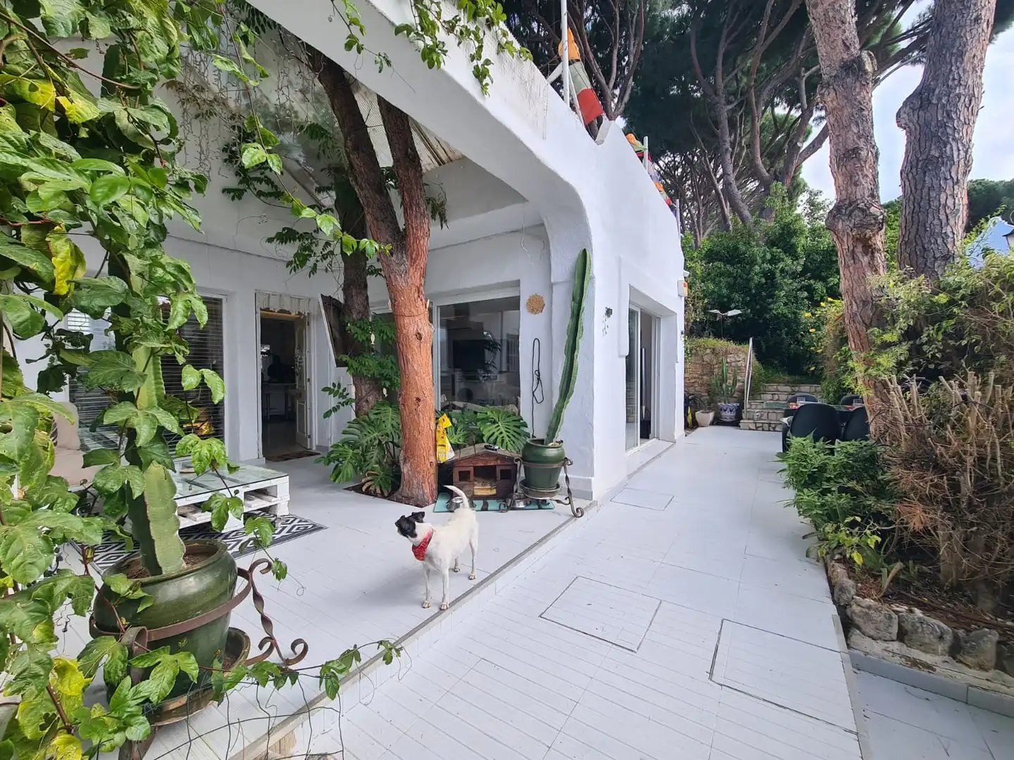 Jardí de Casa o xalet en venda en Marbella amb Aire condicionat, Jardí privat i Terrassa