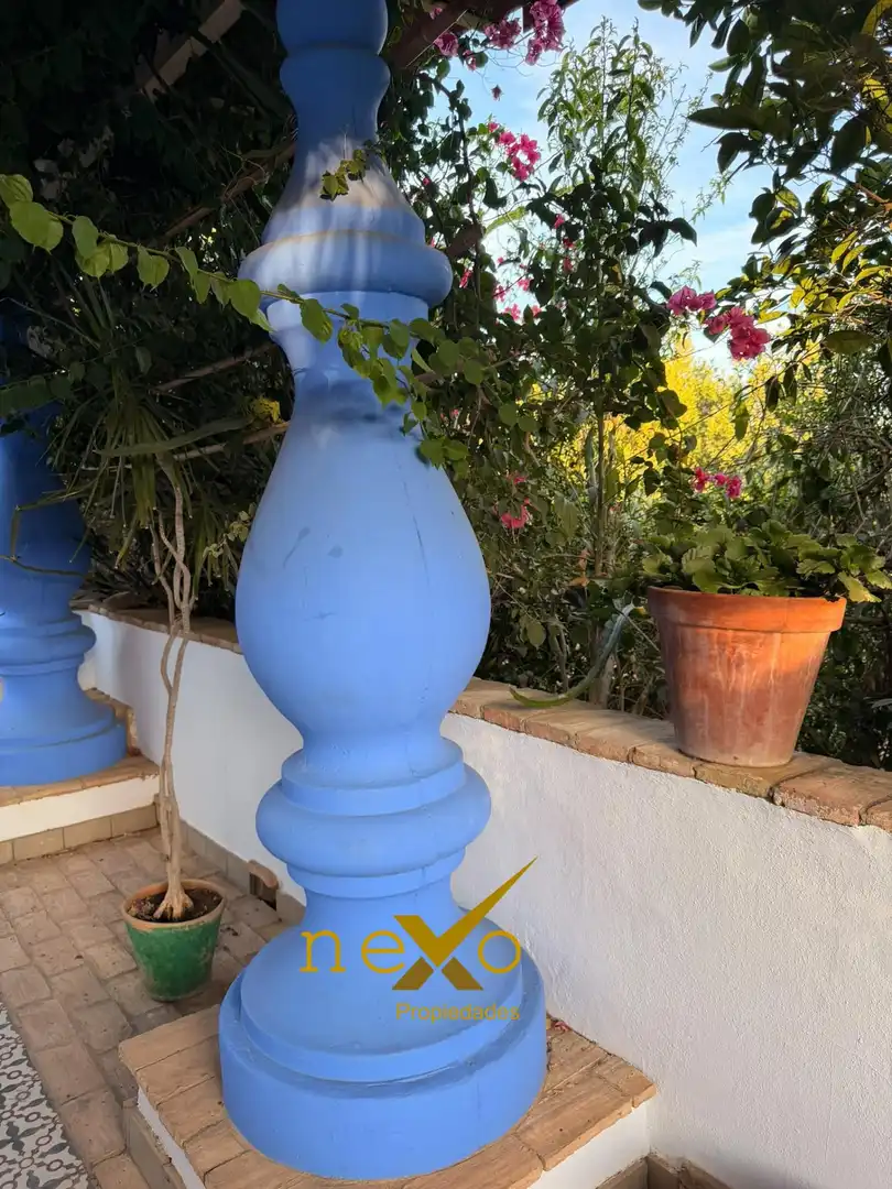 Chalet con piscina en venta en Carmona, imagen 41