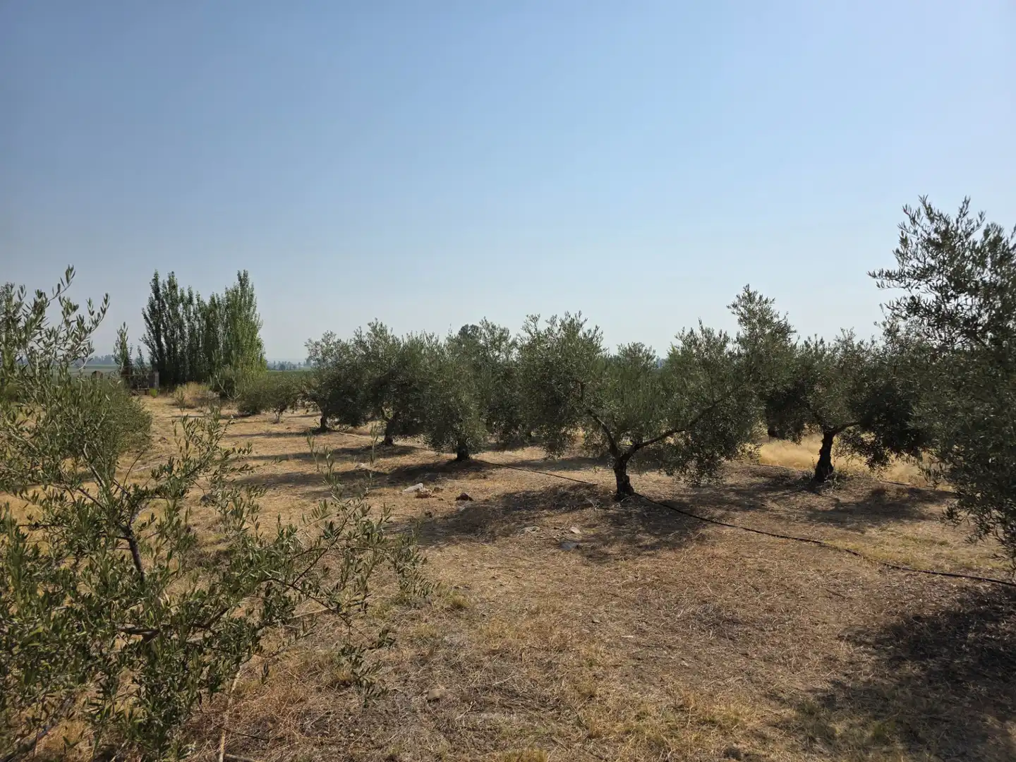 Chalet con jardín en venta en Villanueva de la Serena, imagen 22