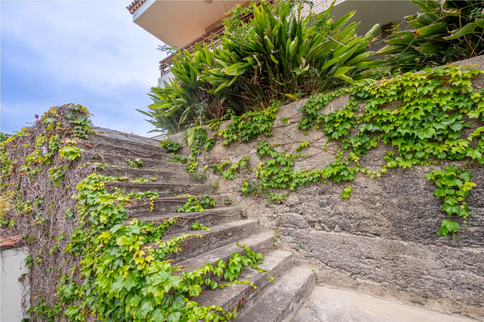 Jardín de Casa o chalet en venta en Santa Brígida con Jardín privado, Terraza y Trastero