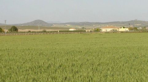 Finca de regadío de 34 hectáreas en Yecla con excelente dotación de agua, immagine 2
