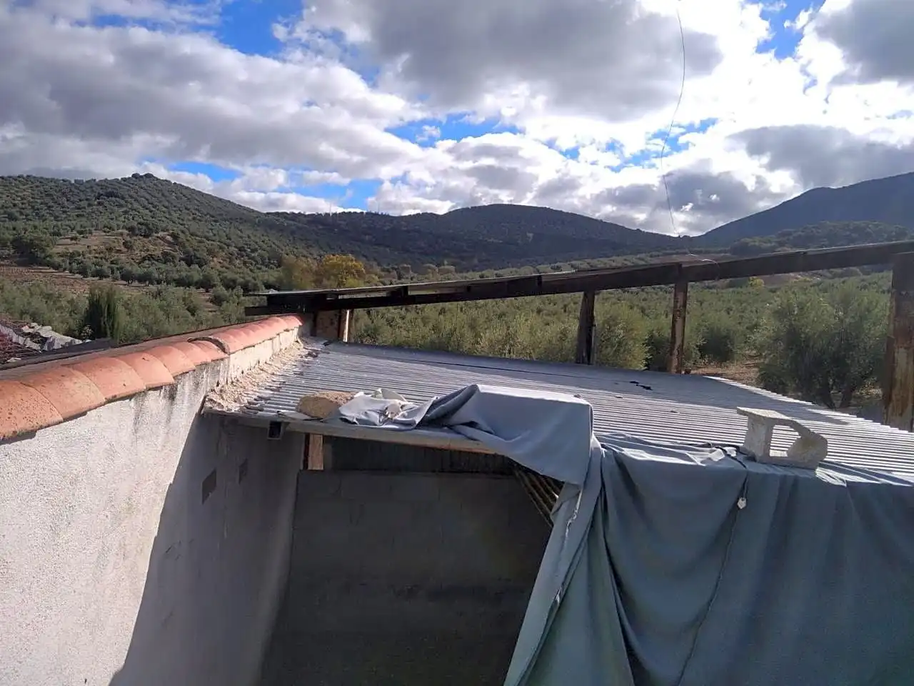 Finca rústica en venta en Benalúa de las Villas con Jardín privado, Terraza y Trastero