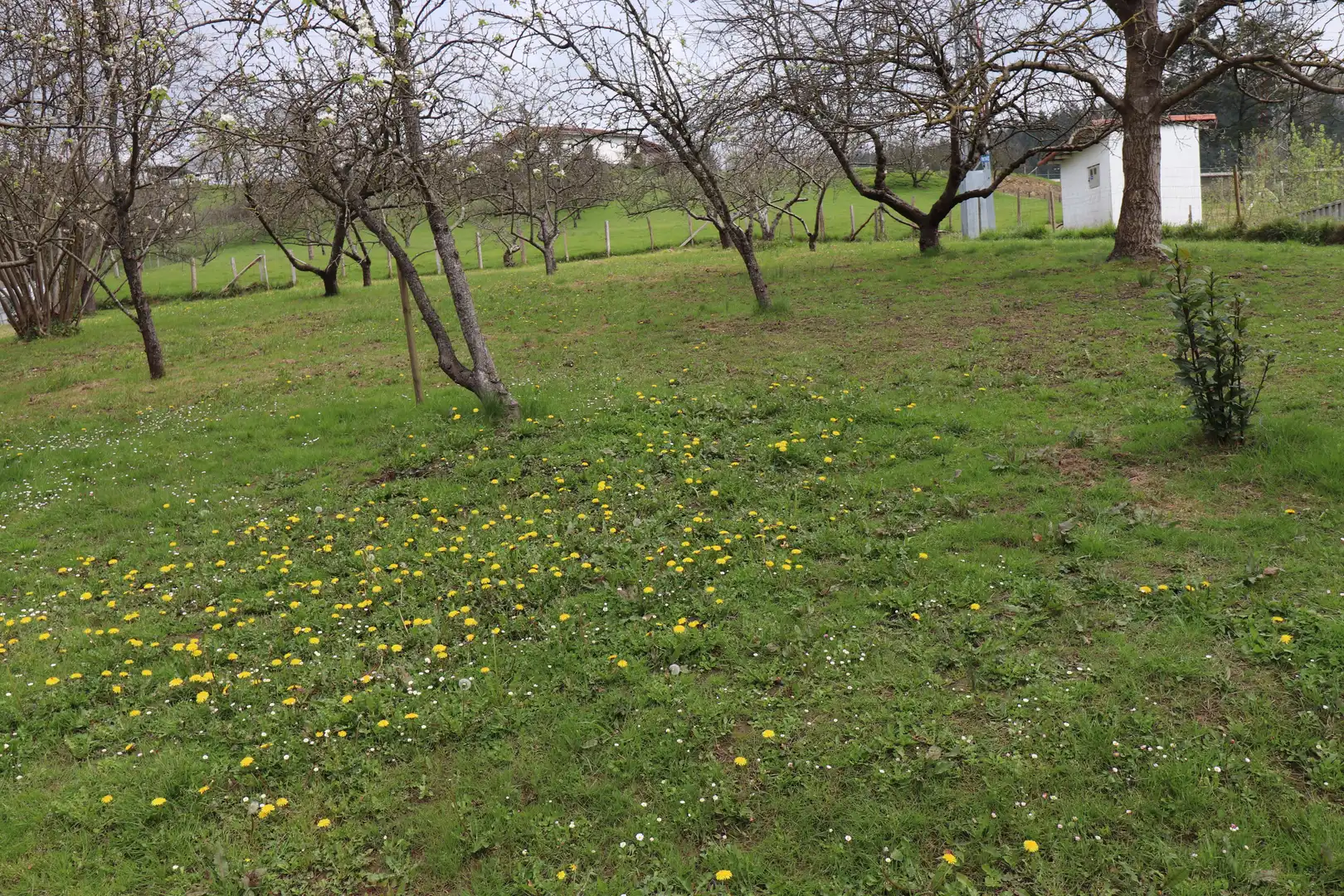 Houses for sale in Iturgain Kalea, Ezkio-Itsaso