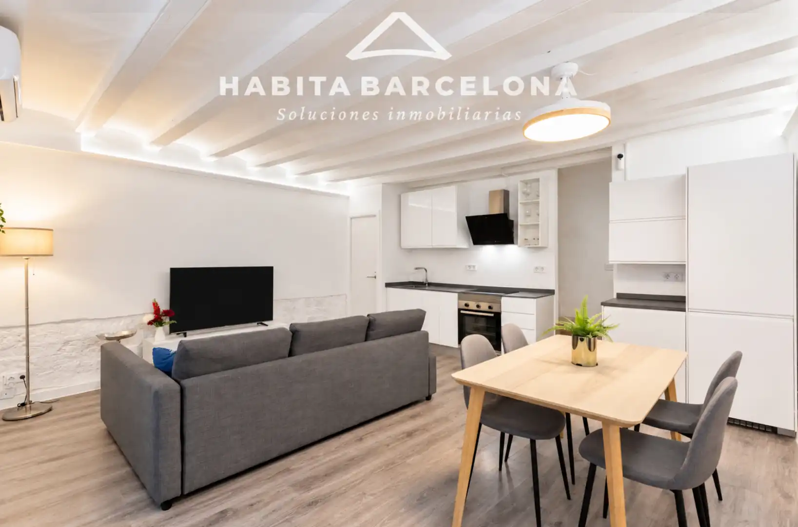 Sala d'estar de Dúplex en venda en Ciutat Vella
