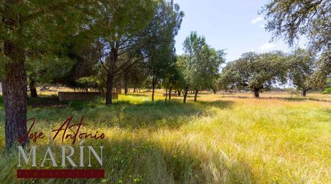 Photo 5 of Land for sale in Pedanías de Badajoz, Badajoz Capital
