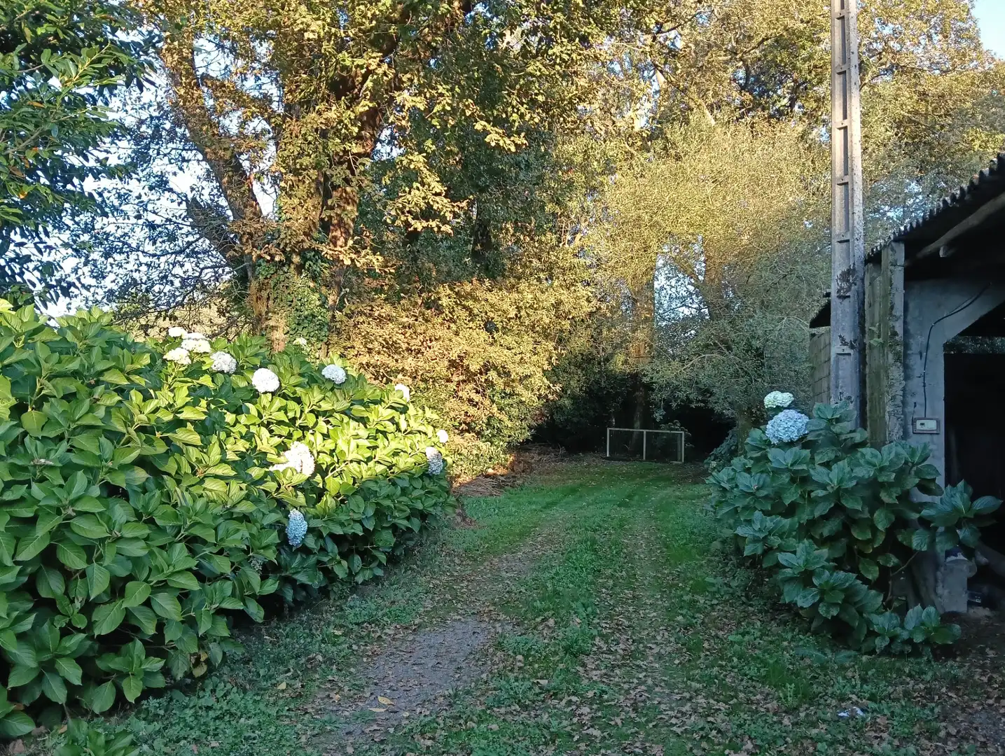 Maison avec jardin à vendre à Cesuras, imagen 20