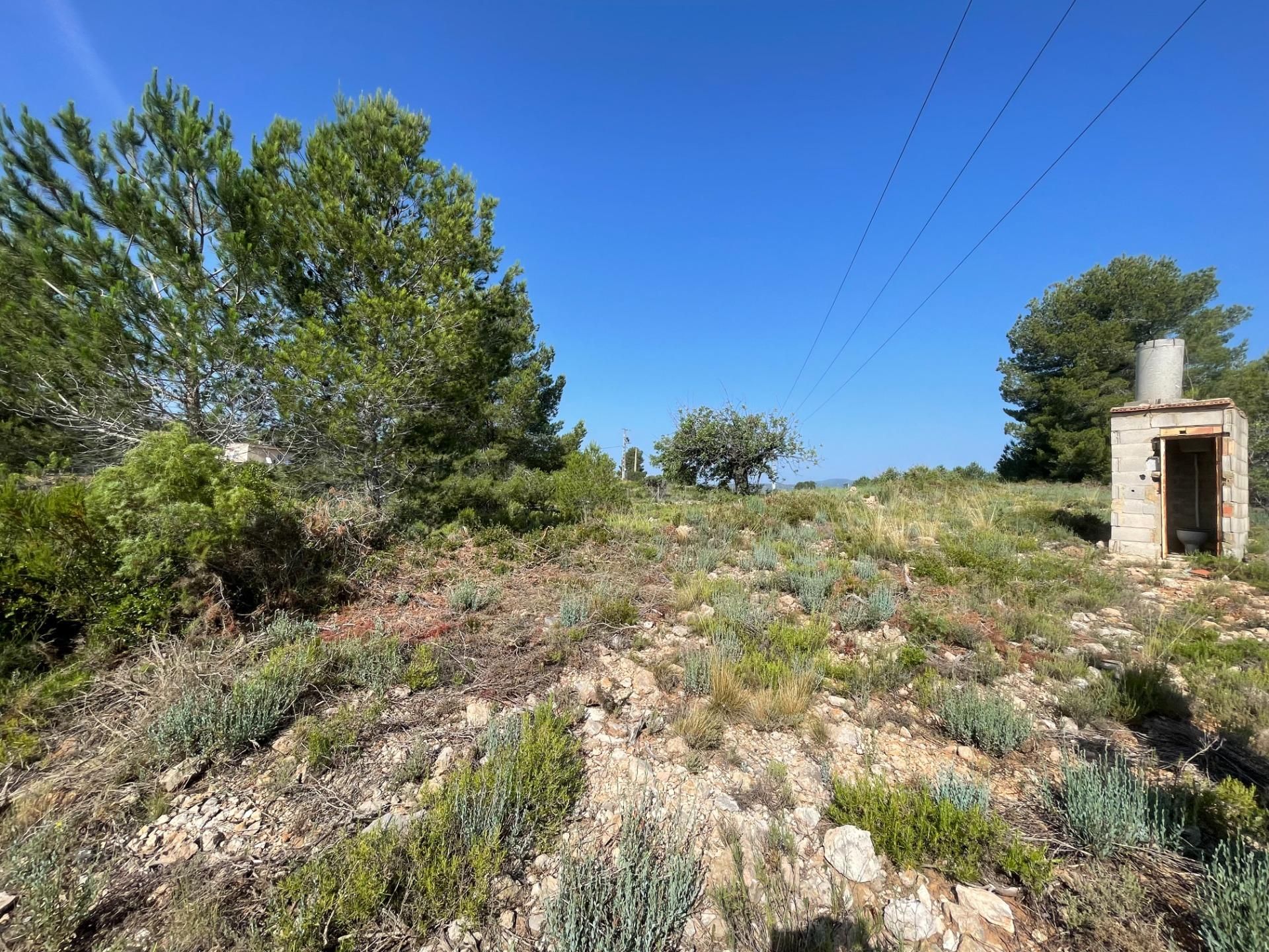 Land for sale in Buñol