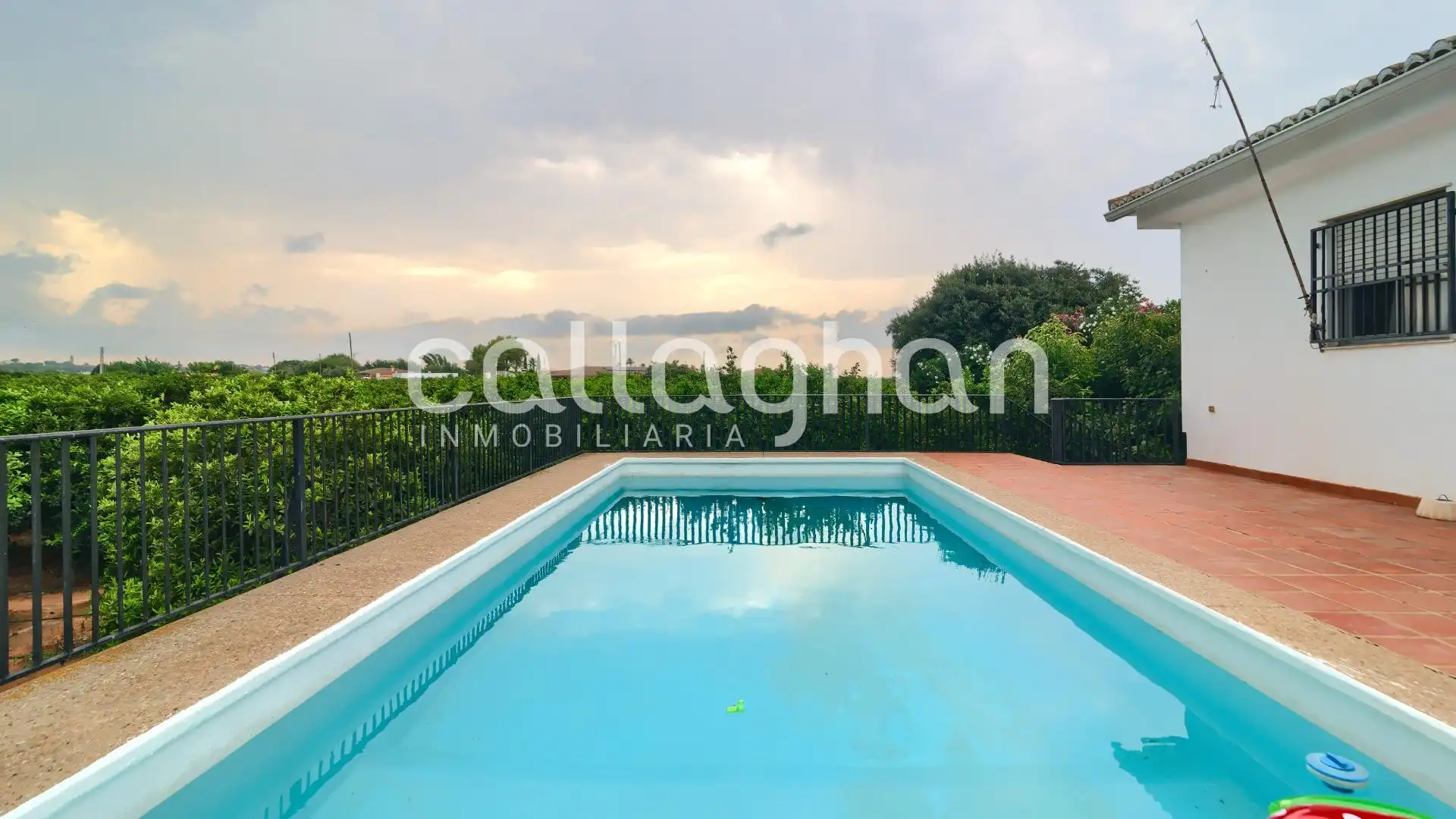 Piscina de Casa o xalet en venda en Alzira amb Piscina