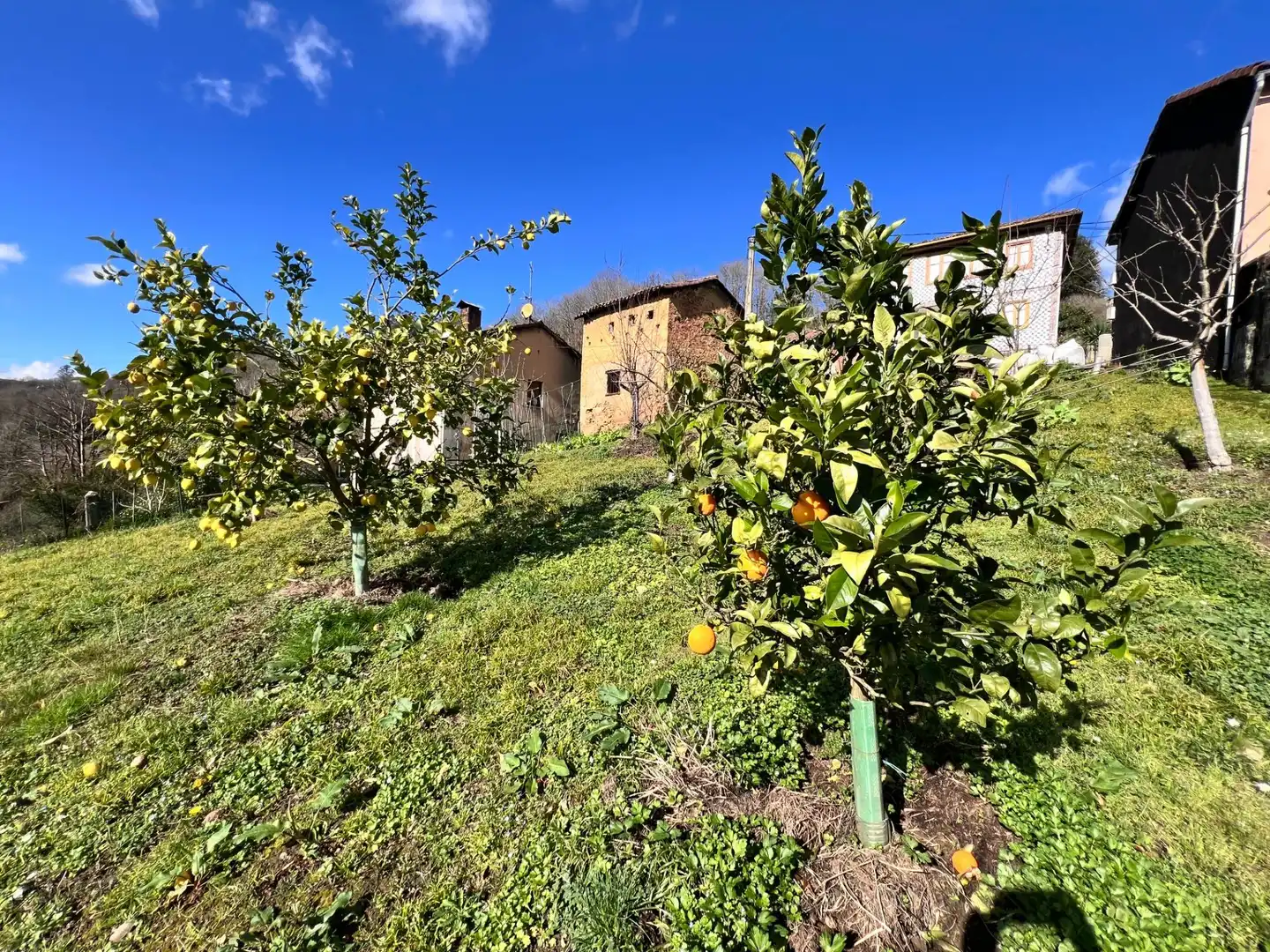 Houses for sale in Langreo  with Heating, Private garden and Furnished